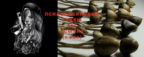 гидра Армянск
