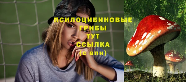 а пвп мука Арсеньев
