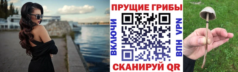 Псилоцибиновые грибы Psilocybe  ссылка на мегу онион  Богородицк 