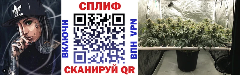 Каннабис планчик Богородицк